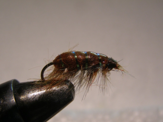 Mario Carp fishing 035.jpg